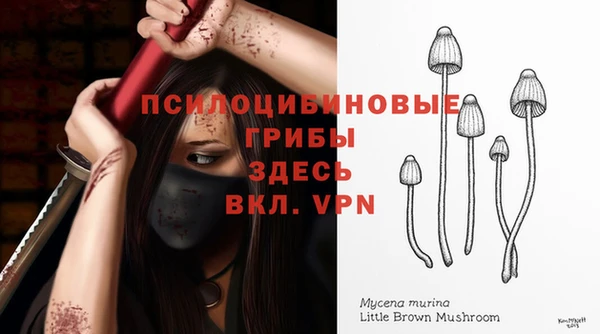 дмт Нягань