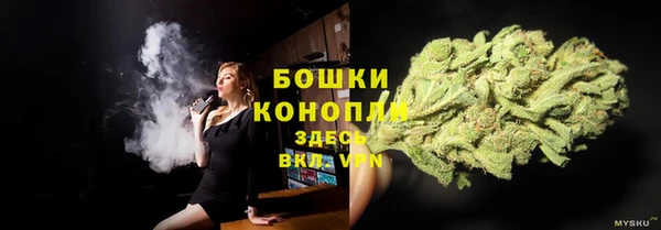 эйфоретик Няндома