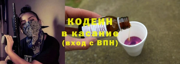 мдпв Осинники