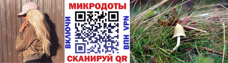 ссылка на мегу вход  Мамоново  Галлюциногенные грибы Magic Shrooms 
