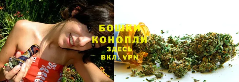 Шишки марихуана семена  купить наркотики цена  Мамоново 